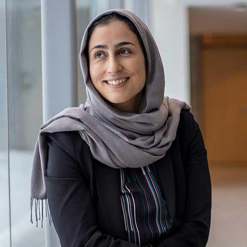 Dr. Faezeh Ensan